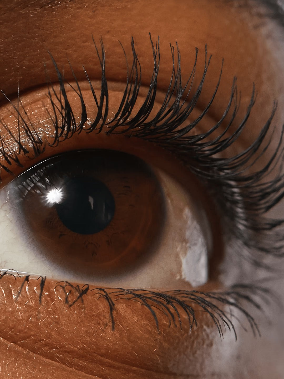 Lash Sculpt