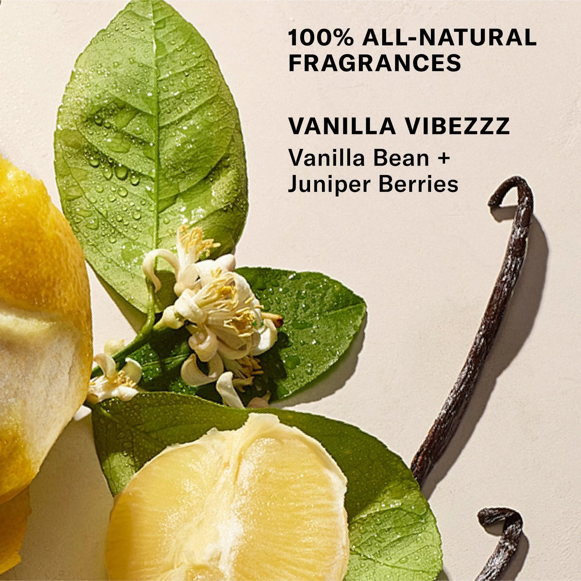 The Babies Bestsellers Kit Travel