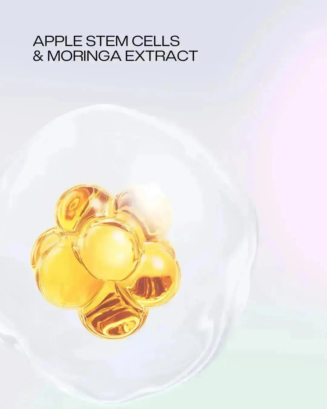 Inskin Activ'Night Cream