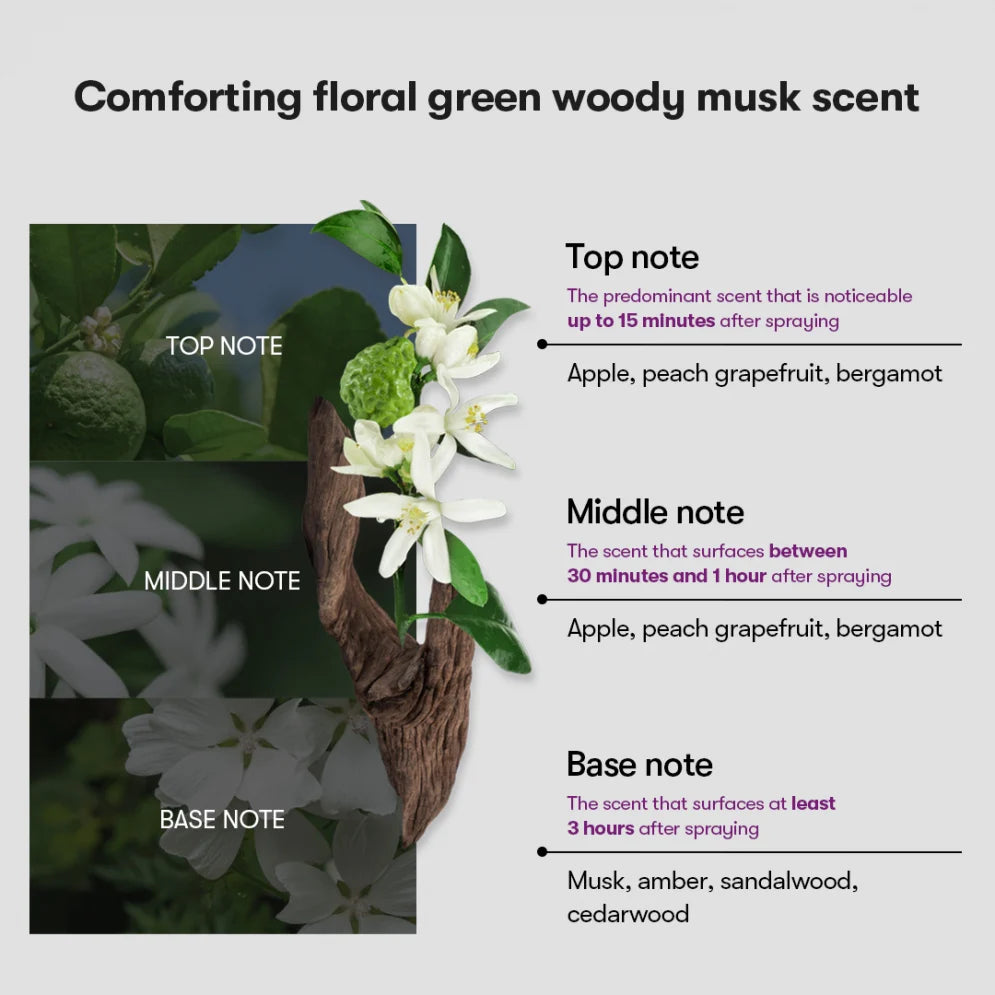 Reedle Shot Lifting Cream